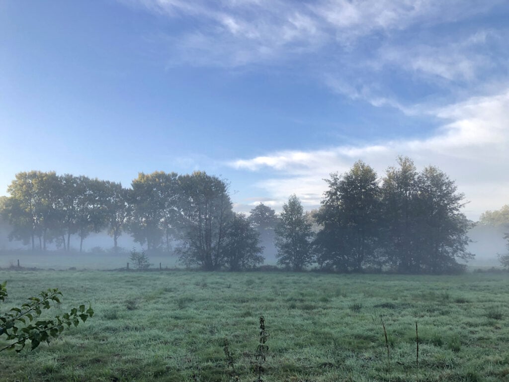 Ein Blick hinten über den Gartenzaun